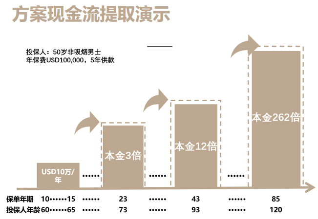 香港储蓄险爆款高收益产品：永明万年青储蓄计划全方位分析